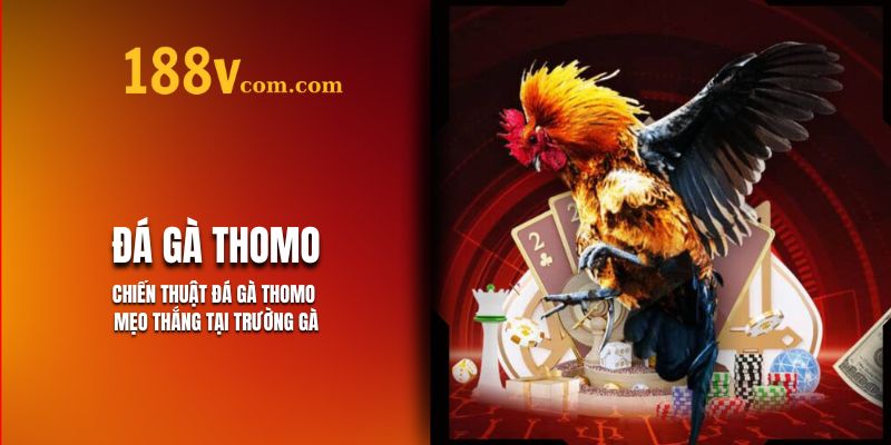 Chiến Thuật Đá Gà Thomo 188V - Mẹo Thắng Chi Tiết